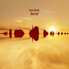 Kate Bush/Aerial [2018 Remaster] ....import 2 CD Set $29.99