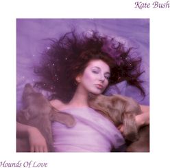 Kate Bush/Hounds of Love [2018 Remaster] ....import CD $26.99